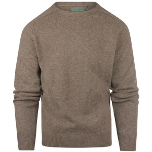 Pullover Lambswool round neck | Brown